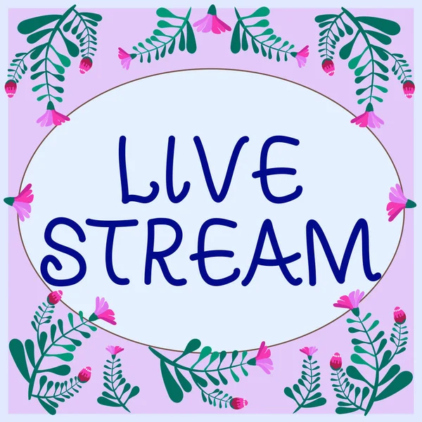 Text sign showing Live Stream, Business idea transmit or receive video and audio coverage over Internet Frame Decorated With Colorful Flowers And Foliage Arranged Harmoniously.