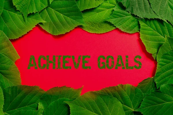 Writing displaying text Achieve Goals, Concept meaning Results oriented Reach Target Effective Planning Succeed Important Informations Written On Paper Under Lot Of Leaves.