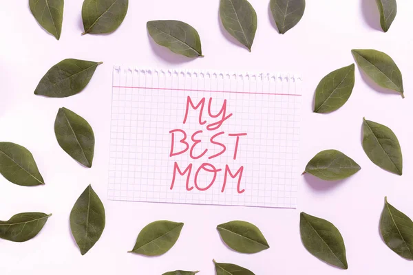 Sign Displaying Best Mom Business Overview Admire Have Affection Good — Stockfoto