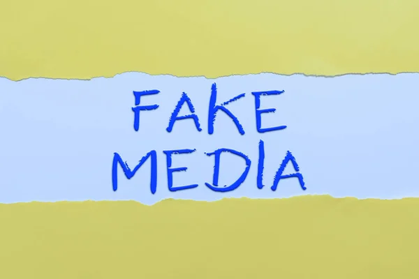 Text Sign Showing Fake Media Business Overview Formation Held Brodcasters — Stockfoto