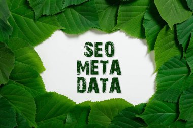 Text caption presenting Seo Meta Data, Business idea Search Engine Optimization Online marketing strategy Important Informations Written On Paper Under Lot Of Leaves.