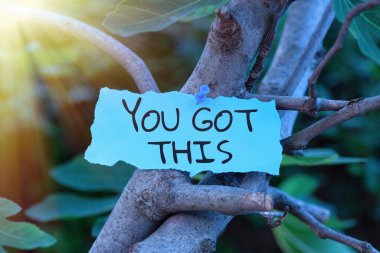 Handwriting text You Got This, Concept meaning Inspiration to do it understanding Motivation Positivity Blank Adhesive Note Pinned On Tree Branch For Business Promotion.