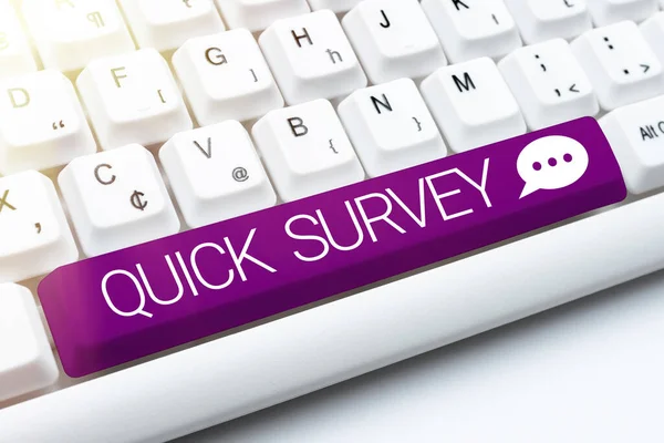 Text Sign Showing Quick Survey Business Concept Conduct Fast Check — Stok fotoğraf