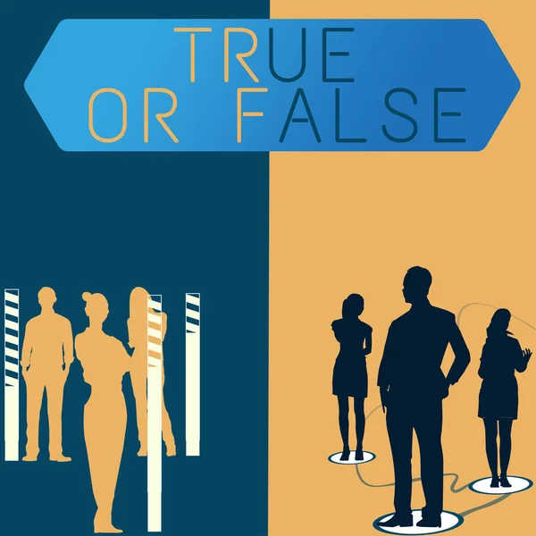 Text Sign Showing True False Business Approach Decide Fact Telling — Foto de Stock