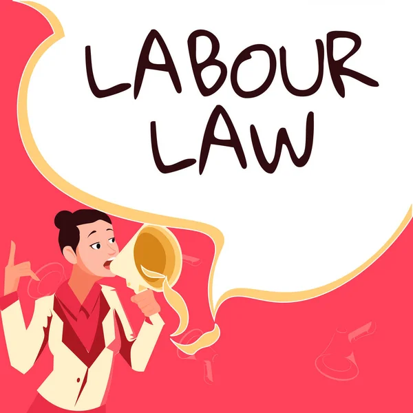Conceptual Caption Labour Law Business Showcase Rules Implemented State Employers — Foto de Stock