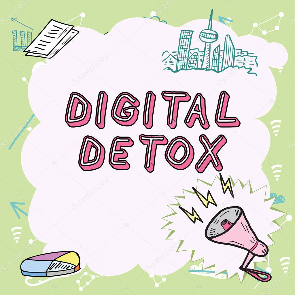 Text caption presenting Digital Detox, Business overview Free of Electronic Devices Disconnect to Reconnect Unplugged Important Messages Presented In Frame With Megaphone, Chart And Skyline.