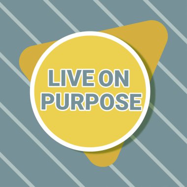 Text sign showing Live On Purpose, Business concept Have a goal mission motivation to keep going inspiration Blank Circular And Triangle Shapes For Promotion Of Business.