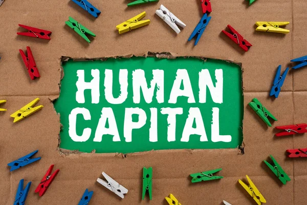 Sign displaying Human Capital, Conceptual photo Intangible Collective Resources Competence Capital Education Important Ideas Written Under Ripped Cardboard With Colored Pegs Around.