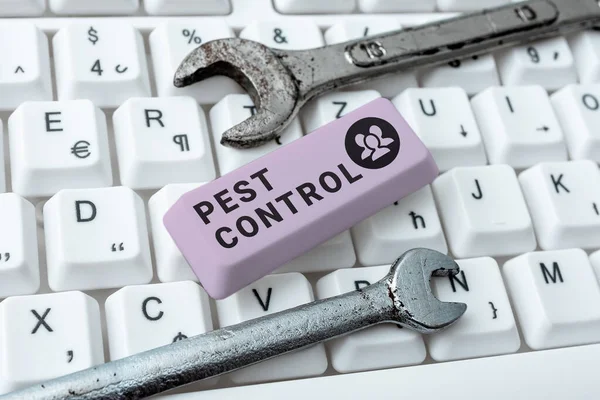 Writing Displaying Text Pest Control Word Killing Destructive Insects Attacks — Fotografia de Stock