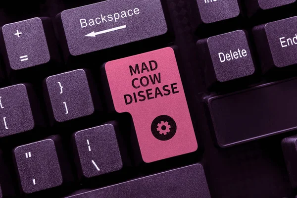 Writing Displaying Text Mad Cow Disease Business Overview Neurodegenerative Lethal — Stock Fotó