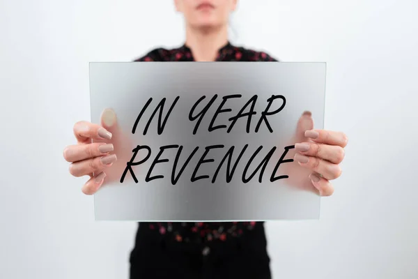 Writing Displaying Text Year Revenue Business Overview Annual Business Income — Foto de Stock