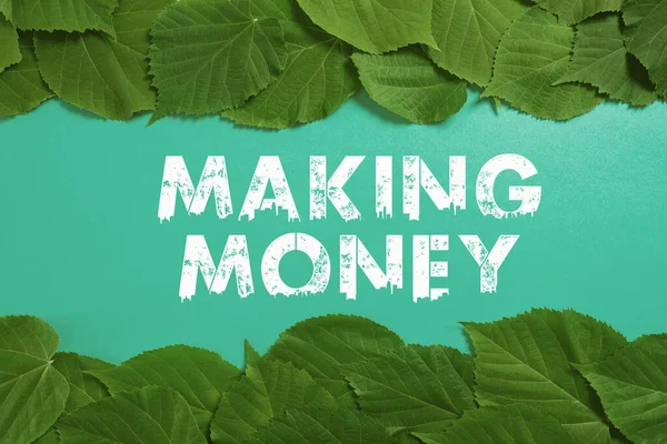 Conceptual Caption Making Money Conceptual Photo Giving Opportunity Make Profit — Foto Stock
