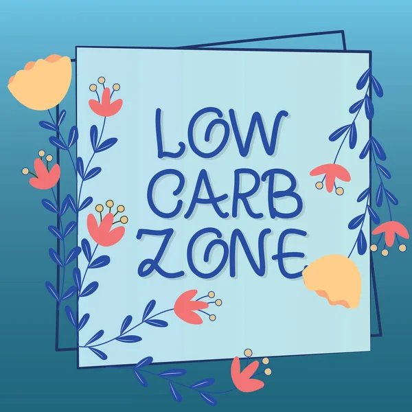Handwriting Text Low Carb Zone Business Showcase Healthy Diet Losing — Foto Stock