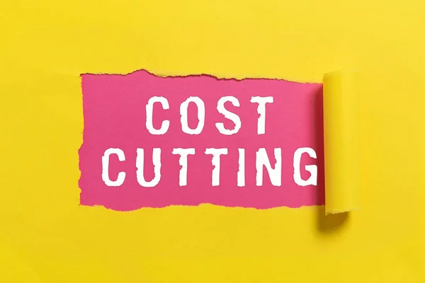 Text Showing Inspiration Cost Cutting Business Idea Measures Implemented Reduced — Stockfoto