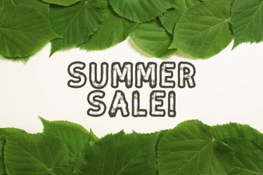 Hand writing sign Summer Sale, Word for Annual discount events that takes place during summer season Important Informations Written On Paper Under Lot Of Leaves.