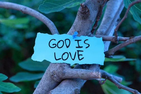 Inspiration showing sign God Is Love, Internet Concept Believing in Jesus having faith religious thoughts Christianity Blank Adhesive Note Pinned On Tree Branch For Business Promotion.
