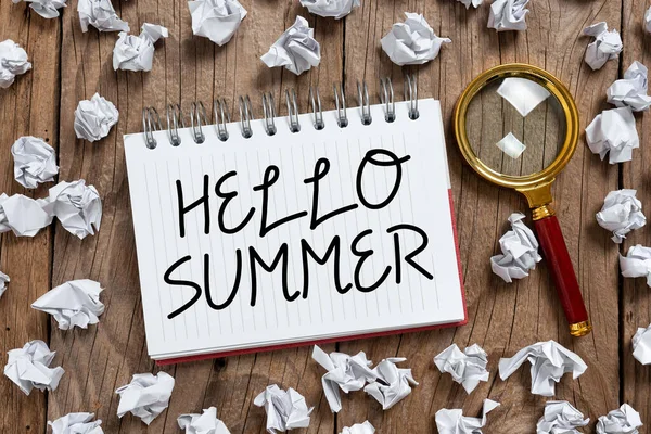 Writing Displaying Text Hello Summer Business Approach Welcoming Warmest Season — Stock Fotó