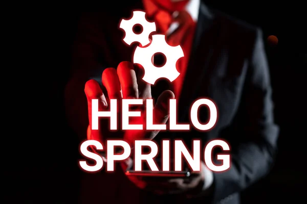 Writing Displaying Text Hello Spring Business Idea Welcoming Season Winter — Stockfoto