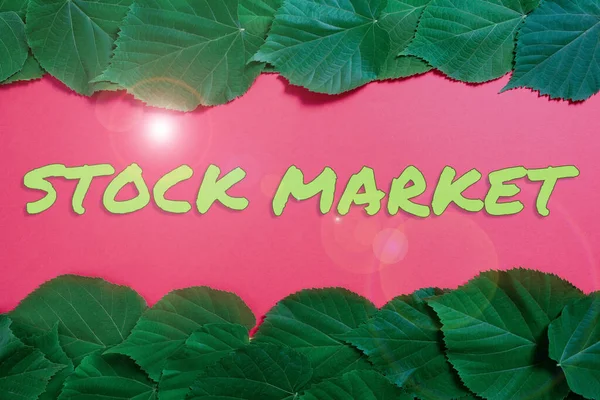Handwriting Text Stock Market Word Particular Market Stocks Bonds Traded — Fotografia de Stock
