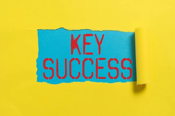 Conceptual Display Key Success Concept Meaning Generally Three Five Areas — Stockfoto