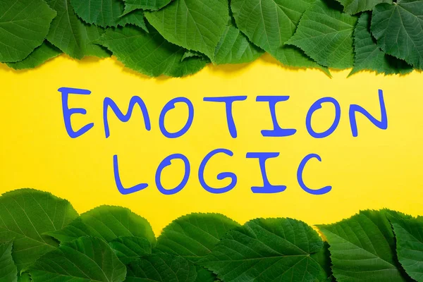 Conceptual Display Emotion Logic Business Approach Heart Brain Soul Intelligence — Stock Fotó