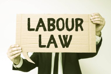 Conceptual caption Labour Law, Internet Concept Rules implemented by the state between employers and employee Businessman Holding Speech Bubble With Important Informations.