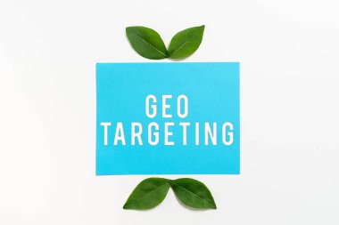 Hand writing sign Geo Targeting, Concept meaning Digital Ads Views IP Address Adwords Campaigns Location Blank Color Paper With Leaves Arranged For Business Promotion.