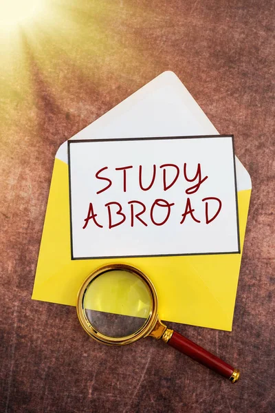 Conceptual Caption Study Abroad Business Idea Pursuing Educational Opportunities Foreign — Foto de Stock