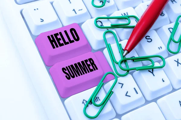 Text Sign Showing Hello Summer Business Overview Welcoming Warmest Season — ストック写真