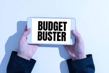 Sign displaying Budget Buster, Business idea Carefree Spending Bargains Unnecessary Purchases Overspending Businesswoman With Tablet On Desk Presenting New Ideas With Pen.