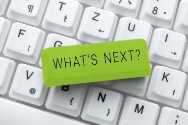 Sign displaying What S Is Next Question, Business idea Get information Ask Query Investigate Probes Explore -49192