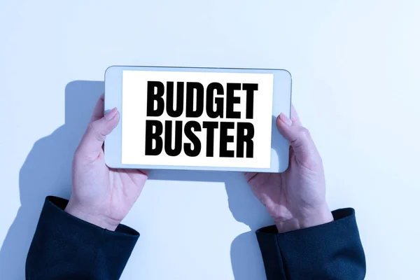 Sign Displaying Budget Buster Business Idea Carefree Spending Bargains Unnecessary — ストック写真