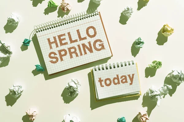 Подпись Текстом Hello Spring Business Idea Welcoming Season Winter Blossoming — стоковое фото