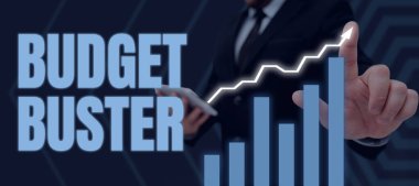 Hand writing sign Budget Buster, Concept meaning Carefree Spending Bargains Unnecessary Purchases Overspending Woman Holding Tablet Displaying New Updates On Presentation Board.