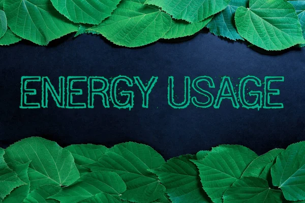 Inspiration Showing Sign Energy Usage Word Amount Energy Consumed Used — Stockfoto