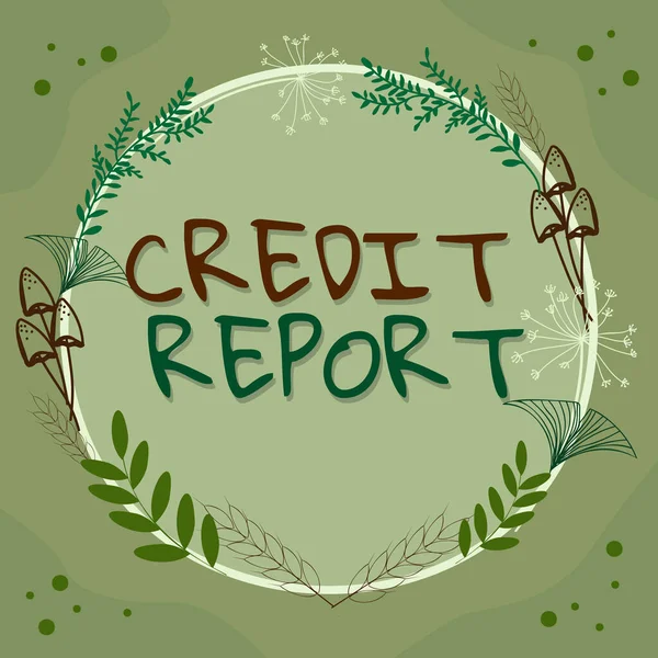 Hand Writing Sign Credit Report Business Showcase Borrowing Rap Sheet — 스톡 사진