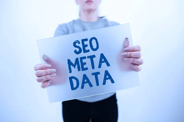 Text Caption Presenting Seo Meta Data Business Idea Search Engine — Stockfoto