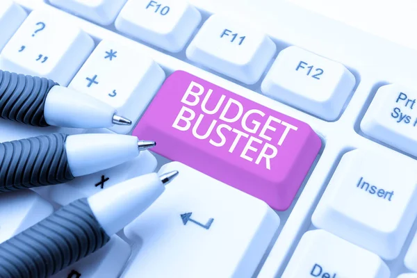Conceptual Display Budget Buster Business Idea Carefree Spending Bargains Unnecessary — Fotografia de Stock