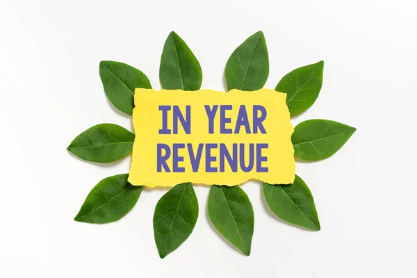 Writing Displaying Text Year Revenue Business Approach Annual Business Income — 스톡 사진