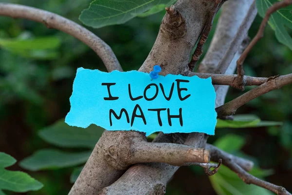 Conceptual Display Love Math Word Written Lot Doing Calculations Mathematics — Stockfoto
