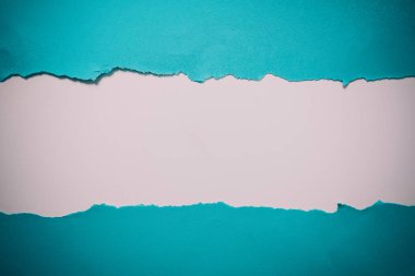 Yeni Yazı Kavramları Düşünmek, Yazarları Engellemek