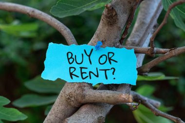 Conceptual caption Buy Or Rent, Concept meaning Doubt between owning something get it for rented Indecision Blank Adhesive Note Pinned On Tree Branch For Business Promotion.