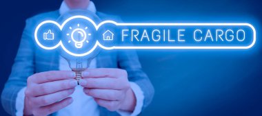 Handwriting text Fragile Cargo, Business concept Breakable Handle with Care Bubble Wrap Glass Hazardous Goods Woman Holding A Light Bulb Image In A Graphic Design Showing New Concepts.