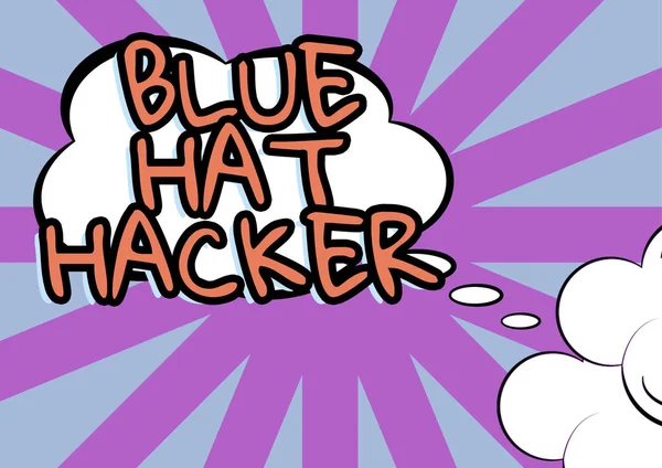 Text Sign Showing Blue Hat Hacker Business Concept Person Consulting — Stock Fotó