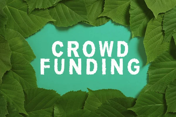 Conceptual Display Crowd Funding Business Approach Fundraising Kickstarter Startup Pledge — Foto de Stock