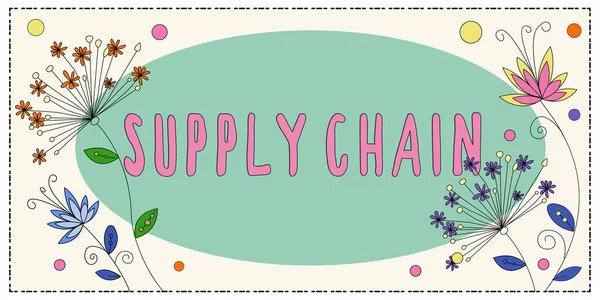 Text Sign Showing Supply Chain Internet Concept System Organization Processes — Fotografia de Stock