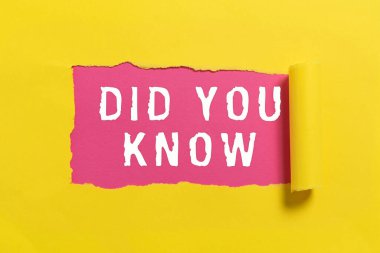 Writing displaying text Did You Know, Word for Knowing the next move Thinking Trivia Brainstorming Wondering Important Information Written Underneath Ripped Piece Of Paper.