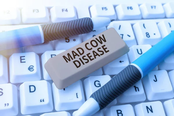 Writing displaying text Mad Cow Disease, Business showcase Neurodegenerative lethal disease contagious eating meat -48579