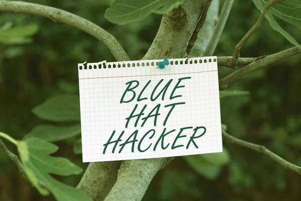 Conceptual display Blue Hat Hacker, Business showcase Person consulting firms who bug system prior to its launch Notebook Sheet Pinned On Tree Branch For Business Promotion.
