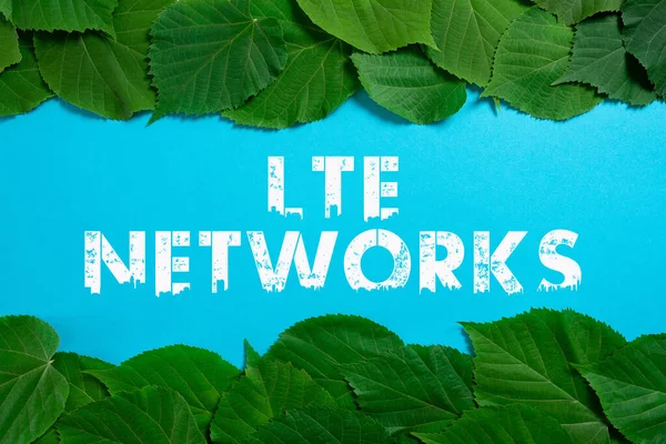 Text showing inspiration Lte Networks, Word for Fastest network connection available for wireless communication Important Informations Written On Paper Under Lot Of Leaves.